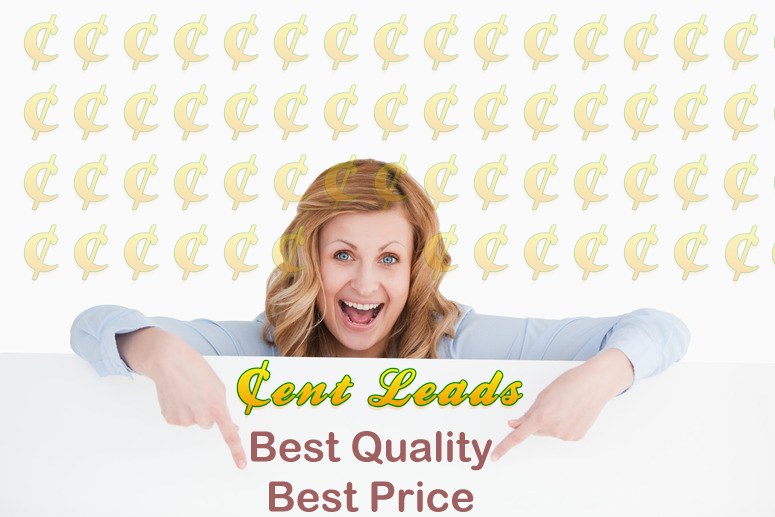 Payday loans, Mortgage Loan, IRS Leads - Cent Leads
